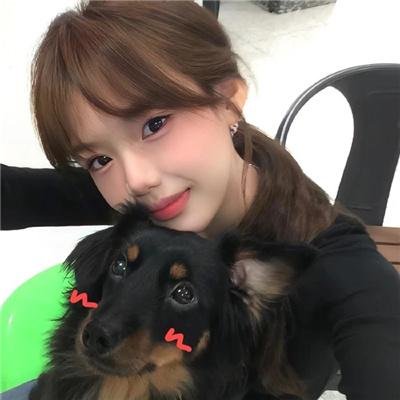 春情妃子